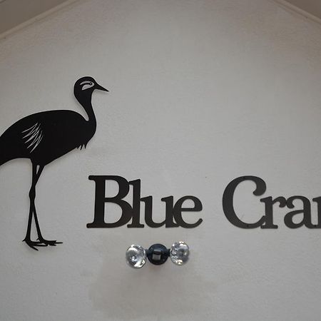 Blue Crane Guest House בלומפונטייין מראה חיצוני תמונה