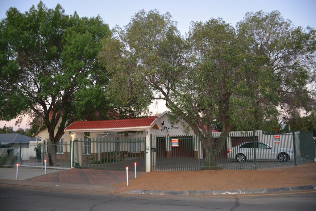 Blue Crane Guest House בלומפונטייין מראה חיצוני תמונה