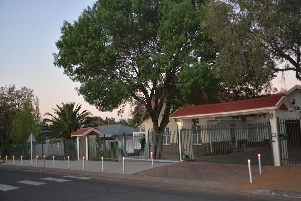 Blue Crane Guest House בלומפונטייין מראה חיצוני תמונה