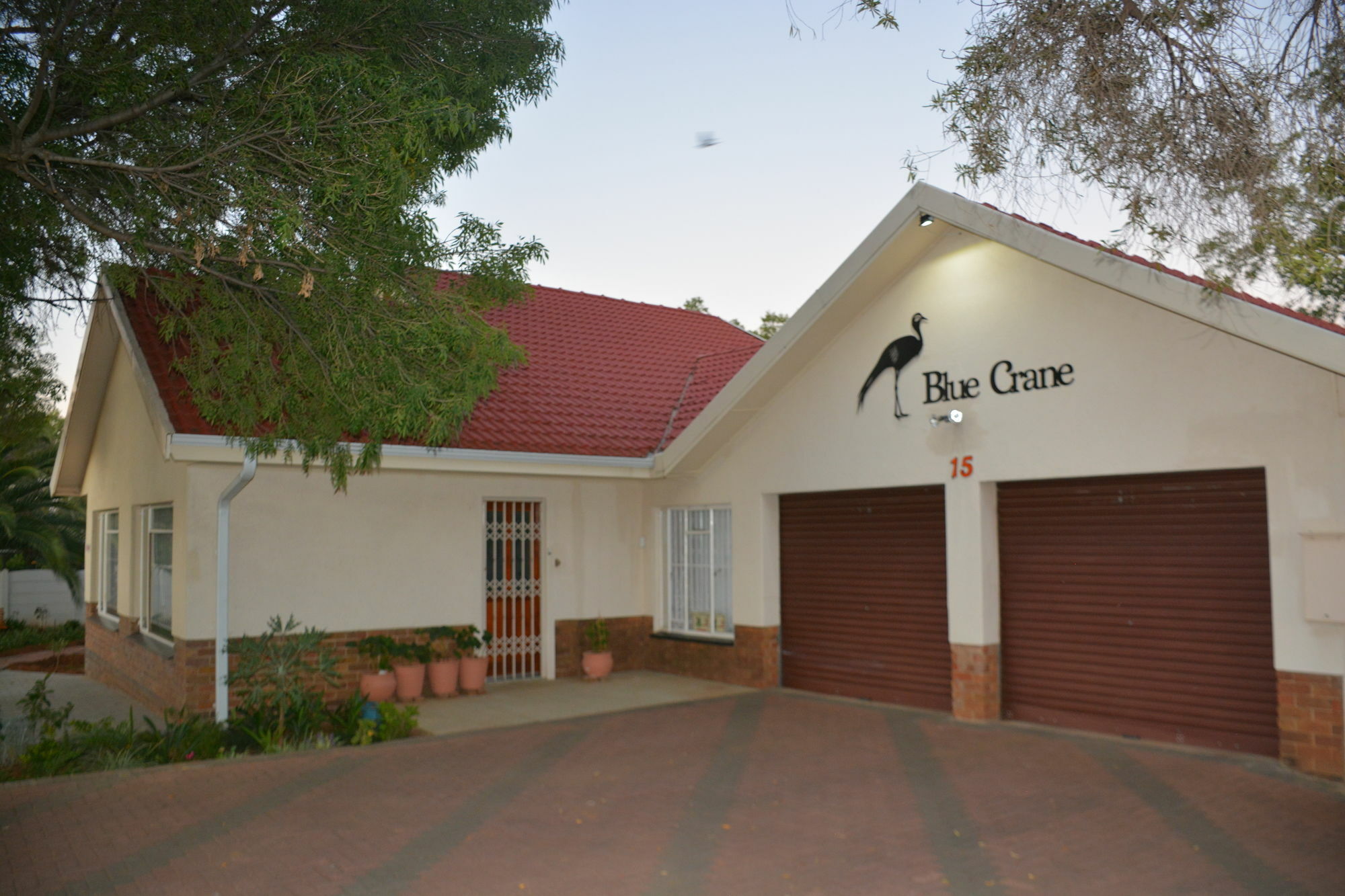 Blue Crane Guest House בלומפונטייין מראה חיצוני תמונה