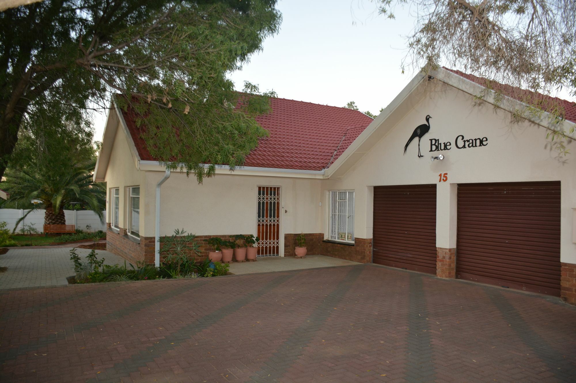Blue Crane Guest House בלומפונטייין מראה חיצוני תמונה
